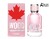 A-PLUS DSQUARED2 WOOD PINK EDT FOR WOMEN 100 ml